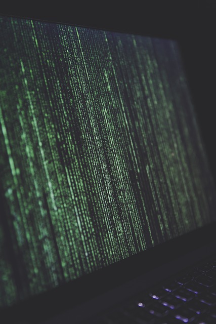 Computer crimes in Binghamton, NY